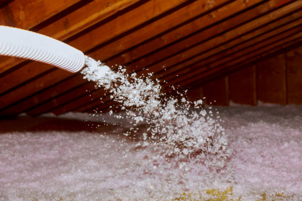 Best Attic Insulation Installation  in , AK