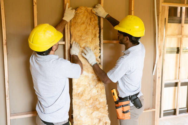 Best Best Insulation Companies  in , AK