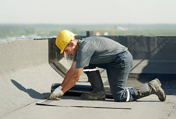 Best Home Insulation Services  in , AK